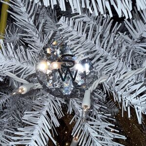 Crystal Paperweight with SW Logo